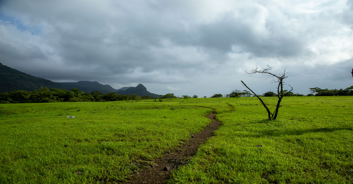 Beautiful weather of Tamhini wildlife sanctuary