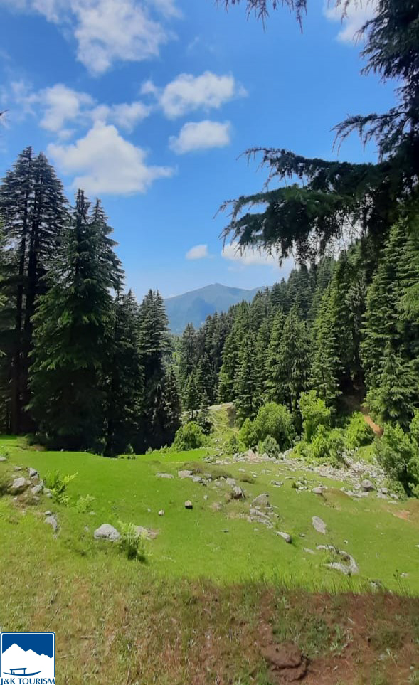 Explore Masheddi: A Hidden Gem in the Heart of Kashmir