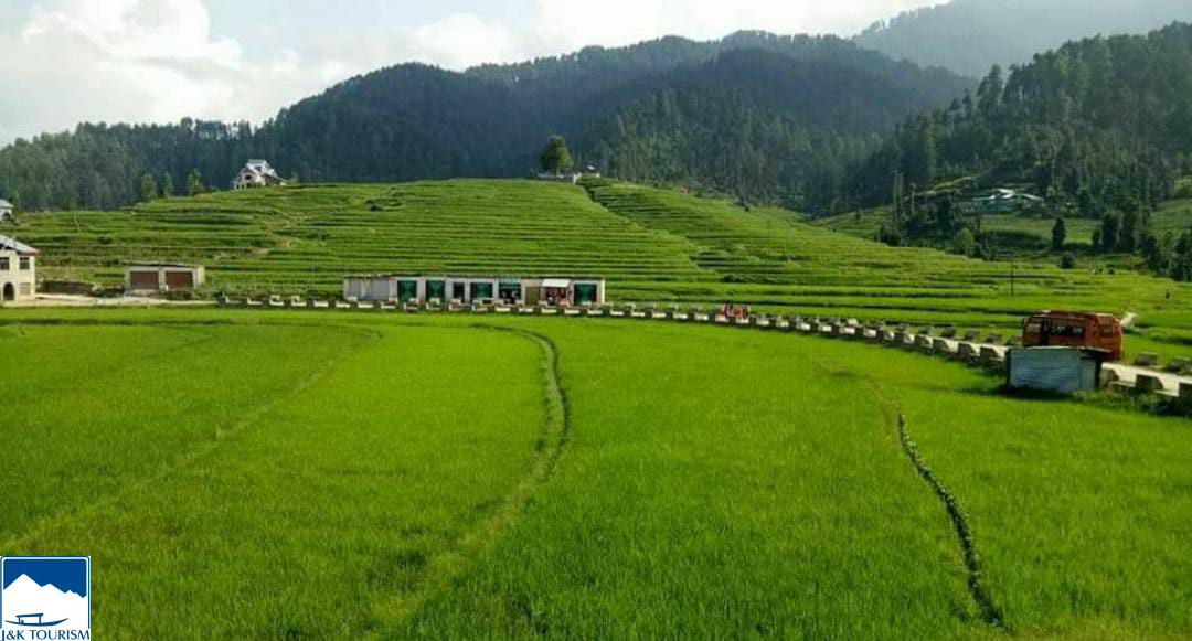 Discover Kalar: Kashmir's Hidden Gem of Tranquility