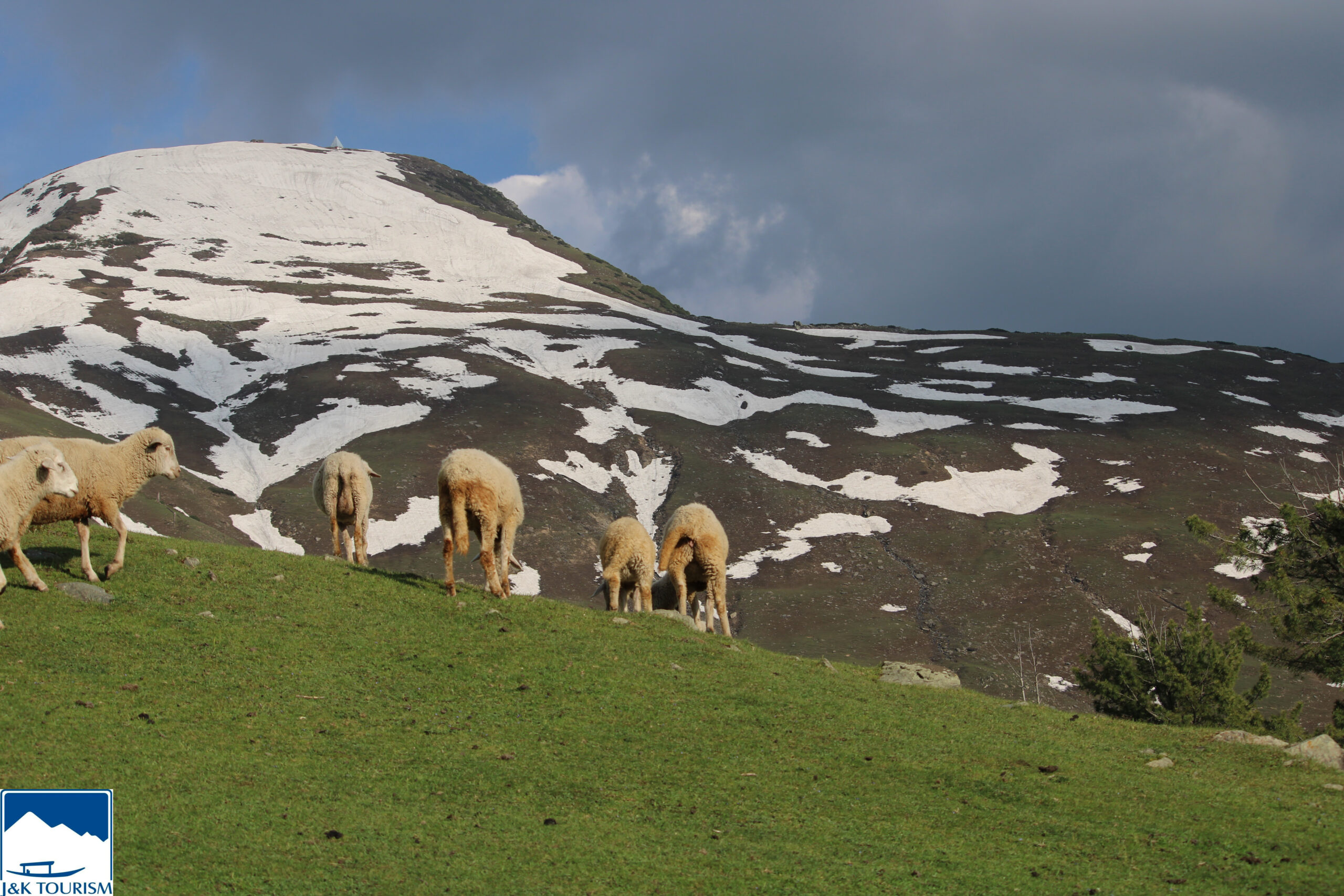 Veiled Valleys: The Quiet Allure of Pogal Paristan in Kashmir
