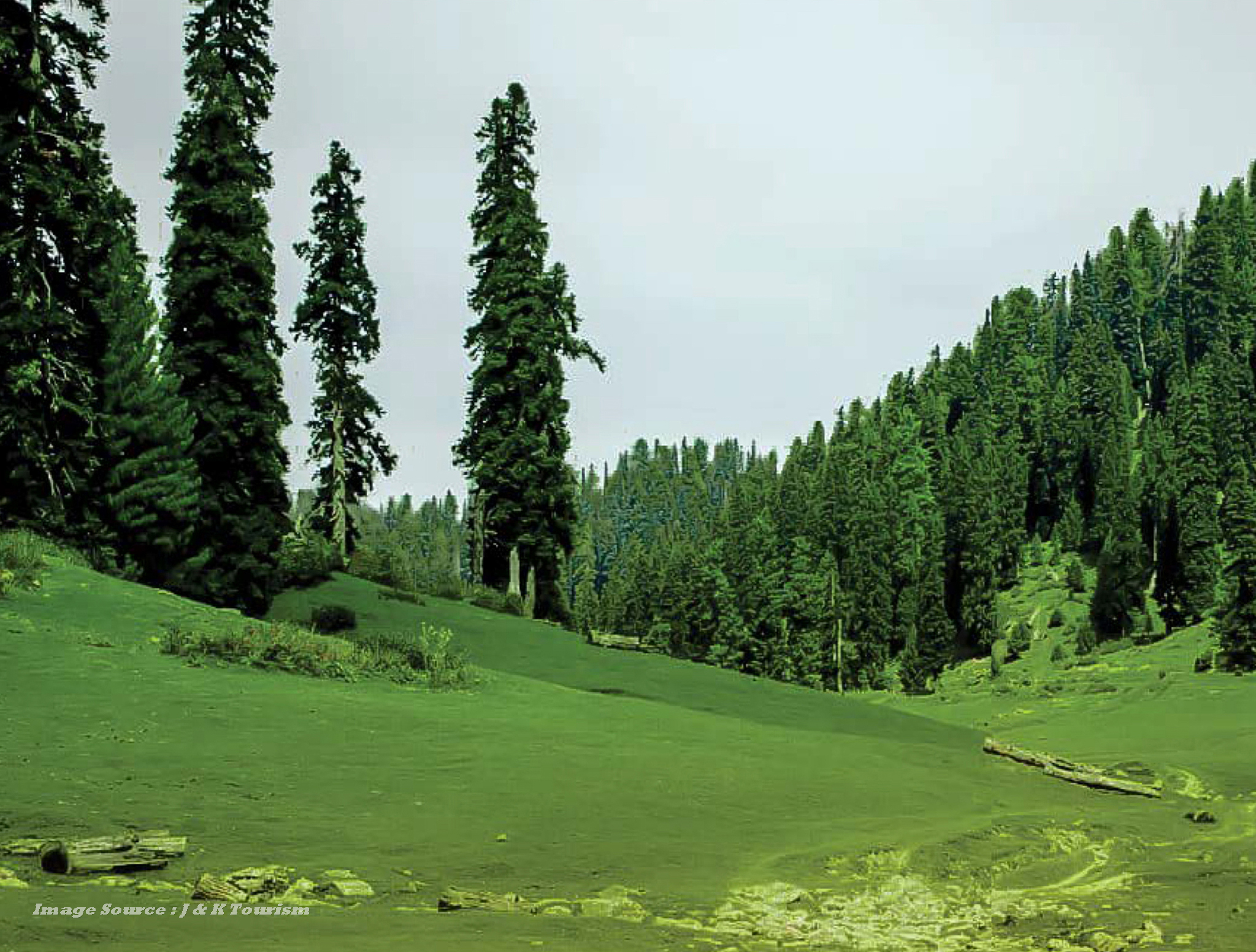 Beyond the Beaten Path: Botapathri's Wonders