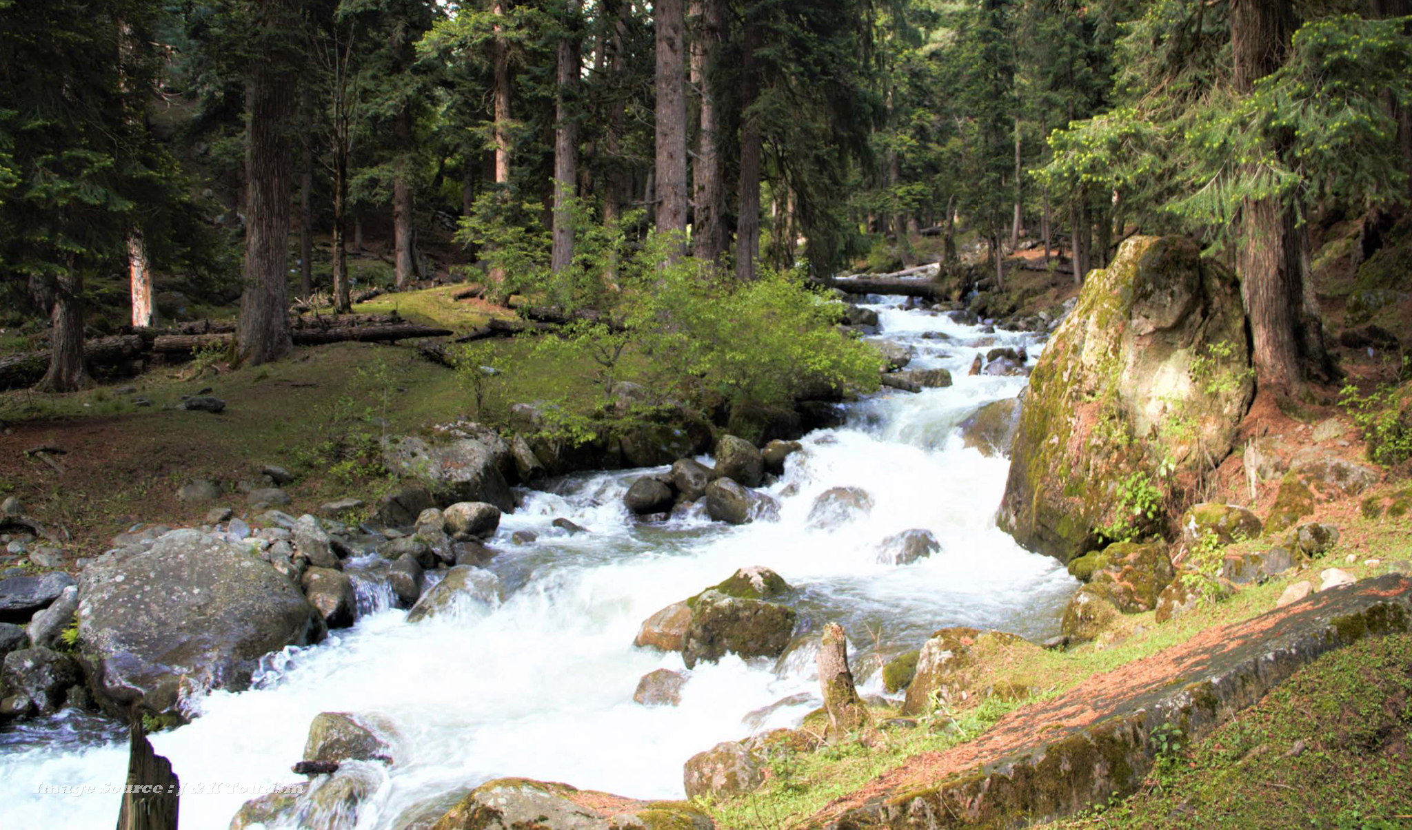 Daksum: Embracing the Beauty of Kashmir | Your Guide to Tranquility