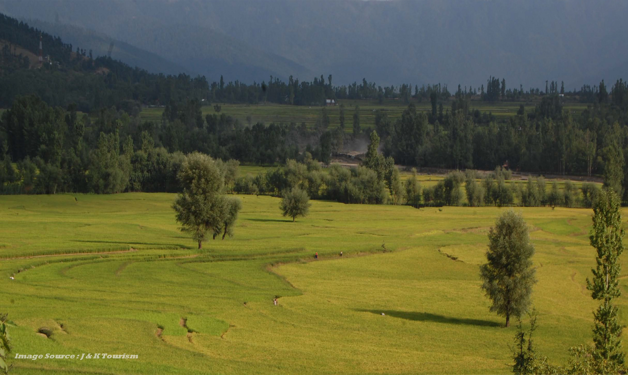 Lolab Valley: Kashmir's Verdant Treasure