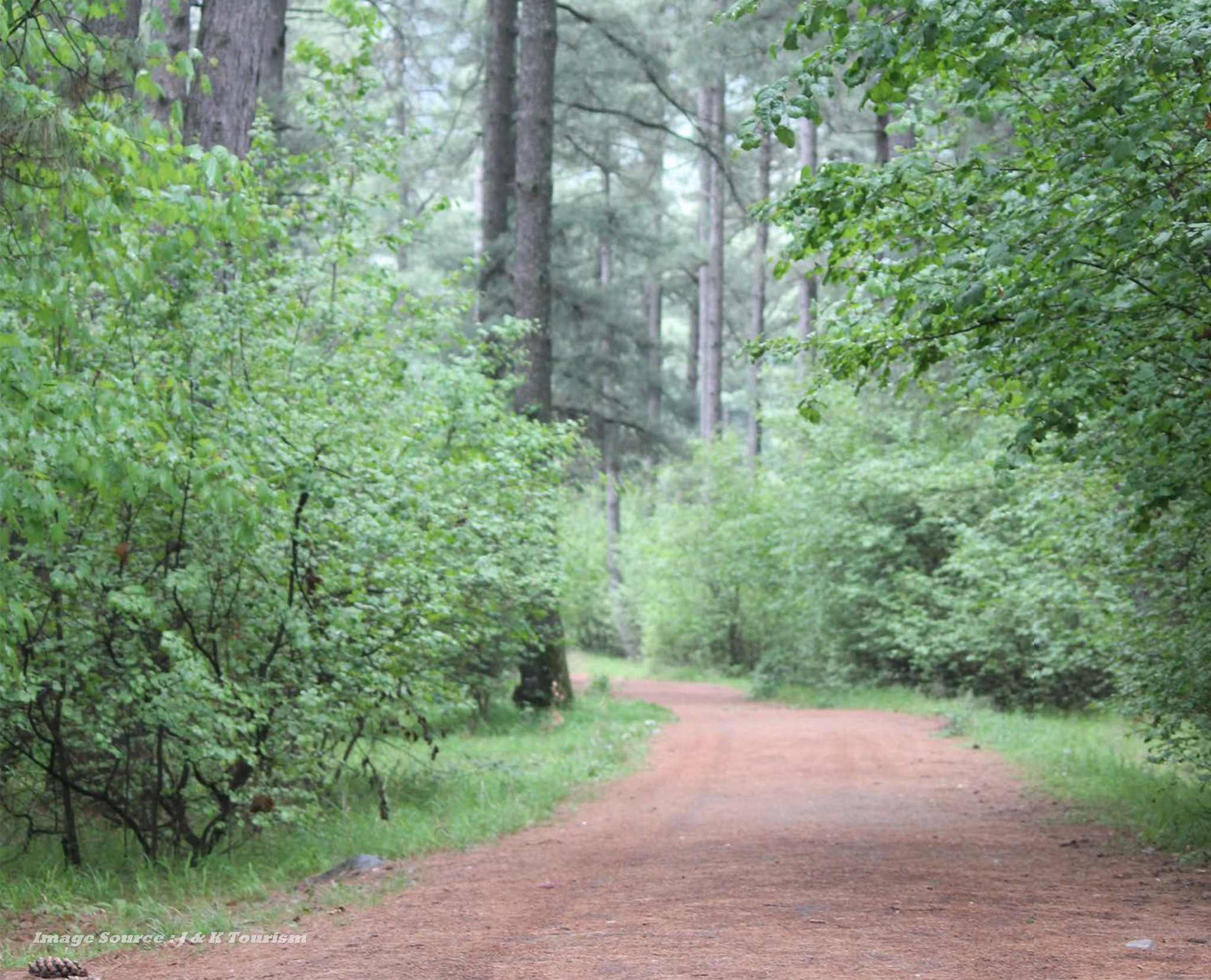 Shikargah Uncovered: Journey to Kashmir's Hidden Oasis