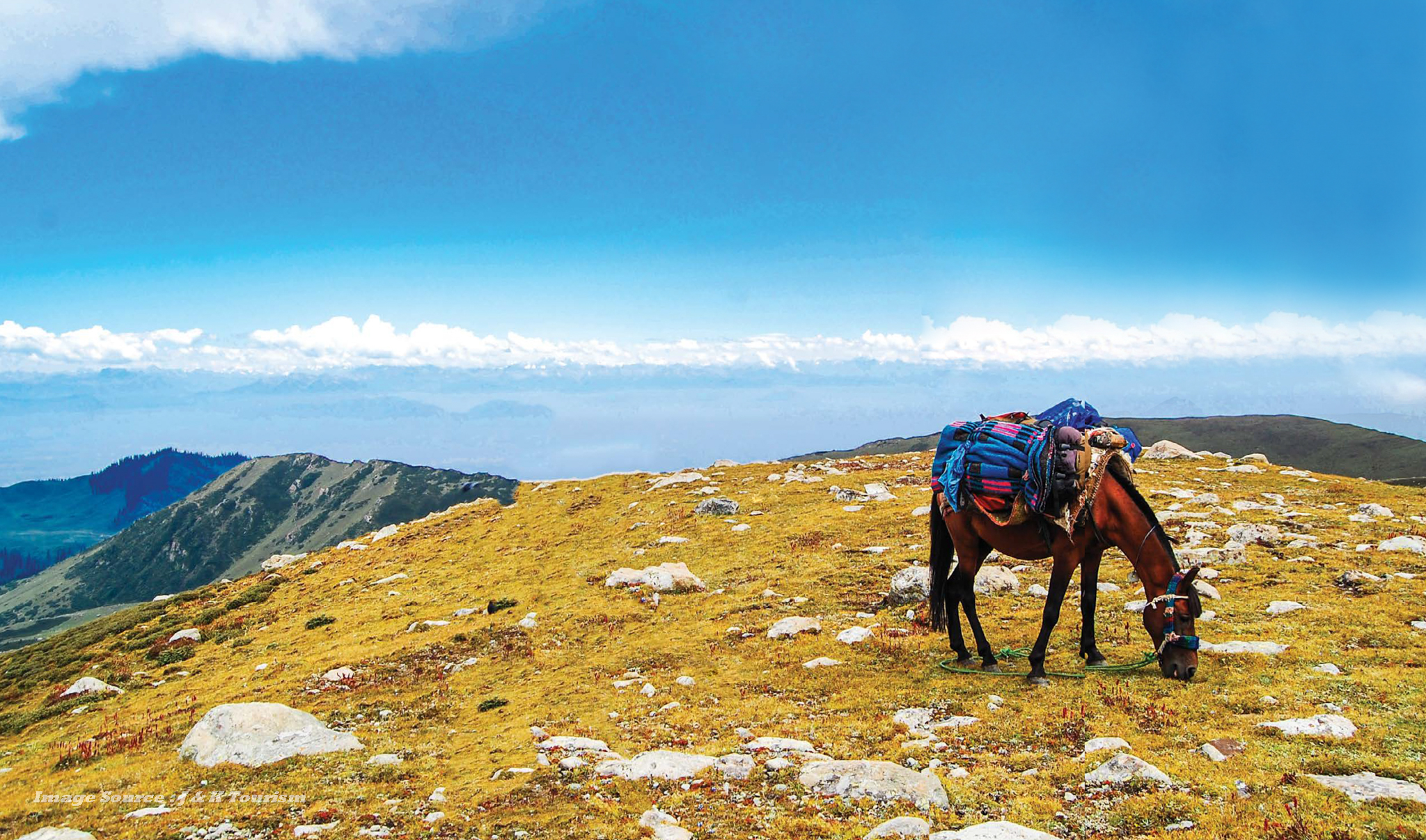 Beyond the Trails: Discovering Tosamaidan's Hidden Majesty